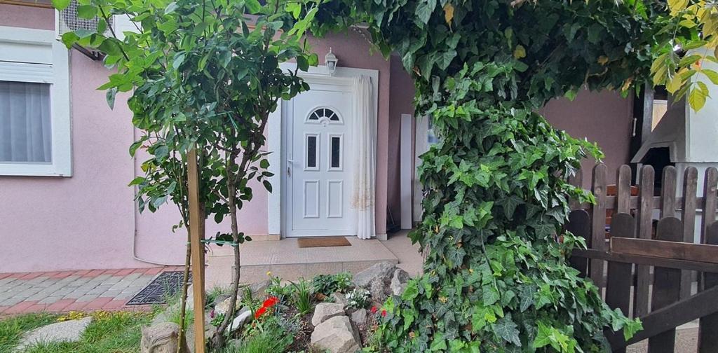 Apartman Ksenija Джяково Екстер'єр фото