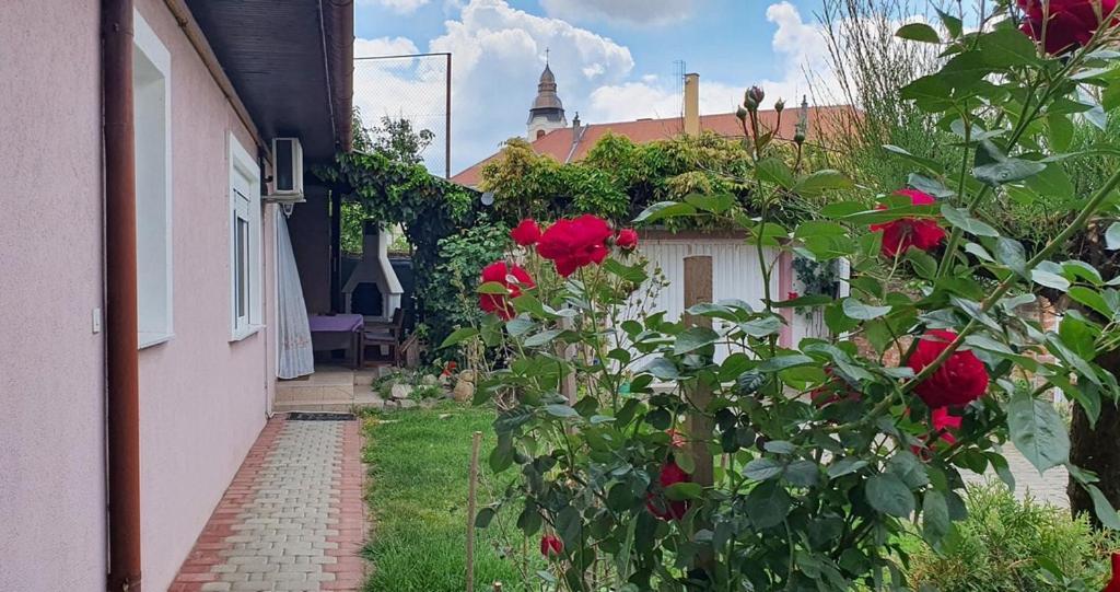 Apartman Ksenija Джяково Екстер'єр фото